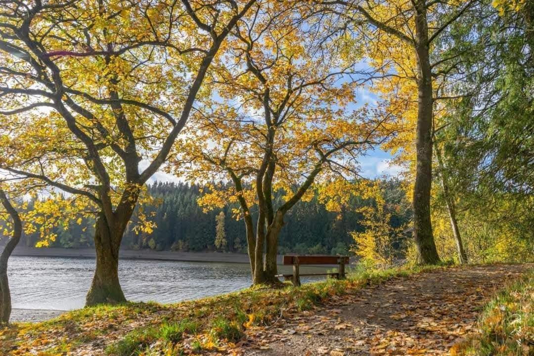 Lac Abane Au Lac 부트겐바흐 외부 사진